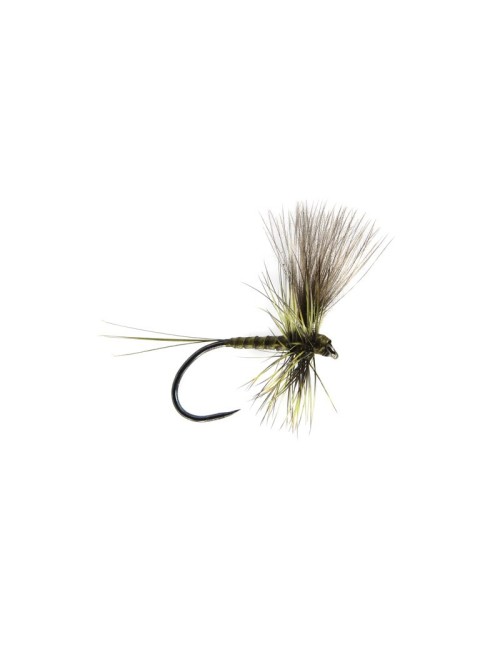 QUILL HACKLE