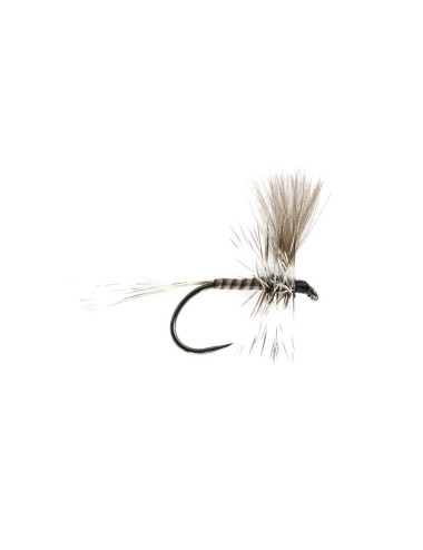 QUILL HACKLE