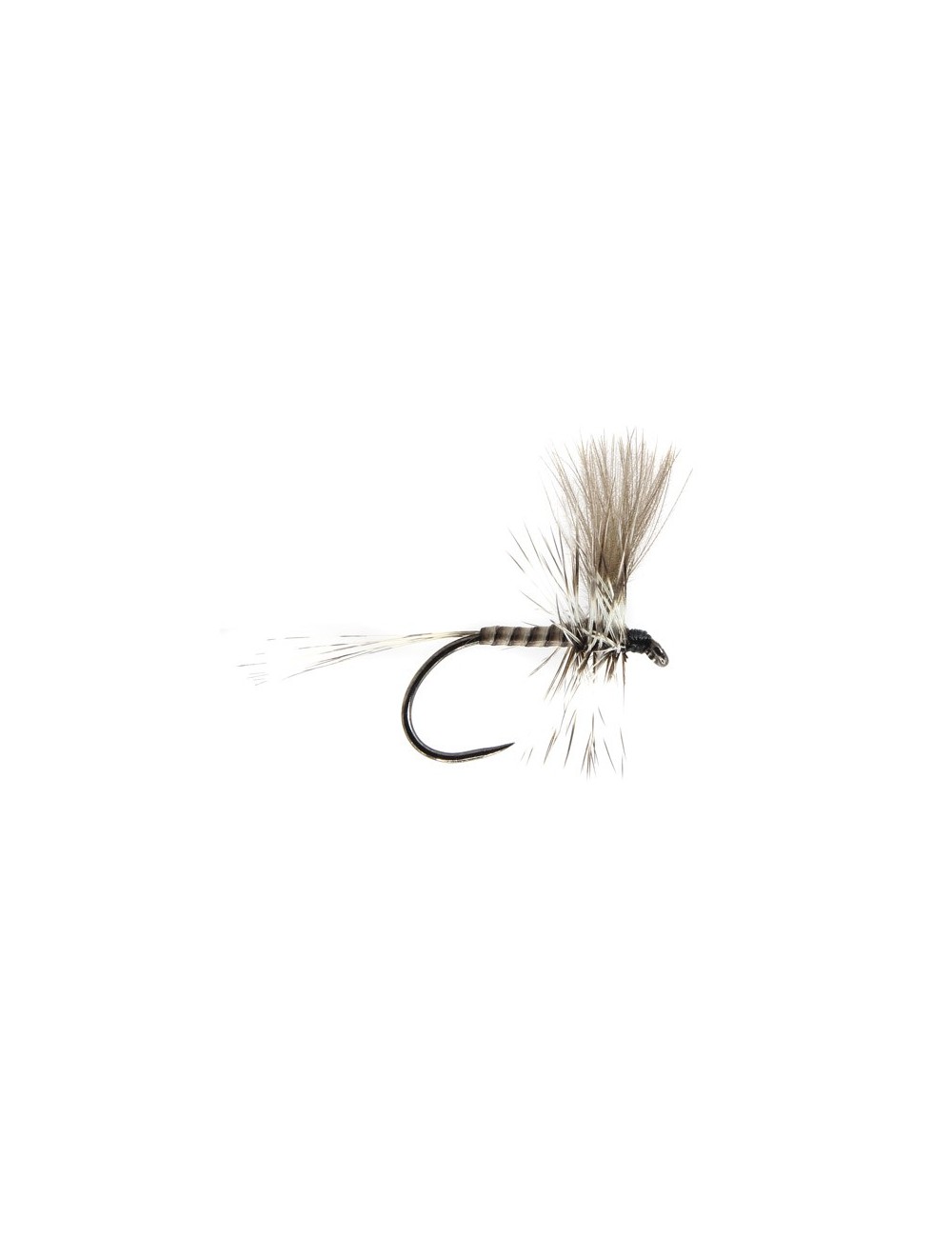 QUILL HACKLE