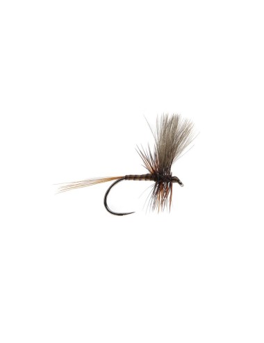 QUILL HACKLE