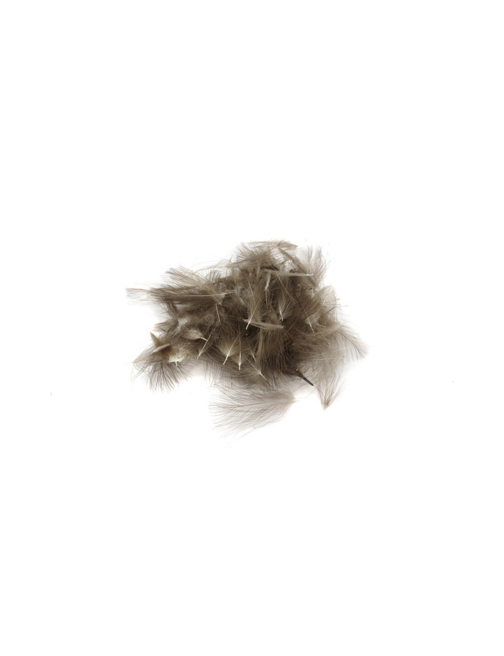 WILD DUCK CDC 2 grams Bag