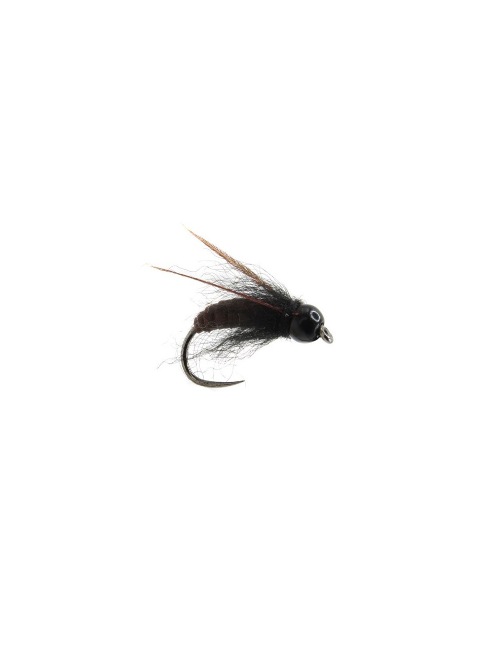 SEDGE PUPAE